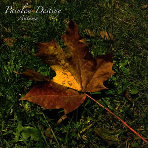 少女啊啊啊用力插少妇
